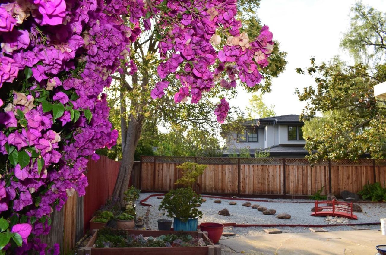 Palo Alto Quiet 1 Bedroom Stanford University Dış mekan fotoğraf